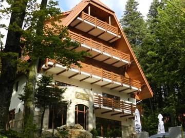 Фотографии Гостевой дом Opus Villa г. Синая (Румыния) №1 Фото Гостевой дом Opus Villa г. Синая 1