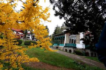 Фотографии Виллы Olala Vila Sinaia г. Синая (Румыния) №4 Фото Виллы Olala Vila Sinaia г. Синая 4