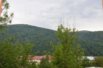 Фото номера Двухместный номер с 1 кроватью и видом на горы Гостевой дом Casa Tibi - Sinaia г. Синая 15