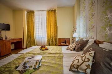 Фото номера Двухместный номер с 1 кроватью или 2 отдельными кроватями Отель Hotel Rina Cerbul г. Синая 8