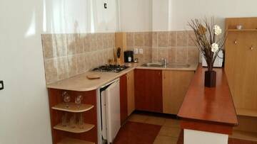 Фото номера Апартаменты с 1 спальней Гостевой дом Vila Eliza г. Синая 6