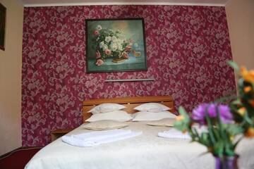 Фото номера Двухместный номер с 1 кроватью Гостевой дом New Aosta Garden г. Синая 17