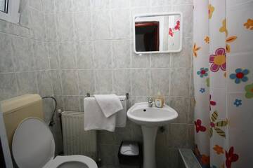 Фото номера Двухместный номер с 1 кроватью Гостевой дом Pension Sinaia - Casa Ta г. Синая 16