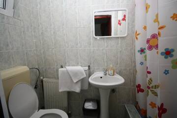 Фото номера Двухместный номер с 1 кроватью Гостевой дом Pension Sinaia - Casa Ta г. Синая 8