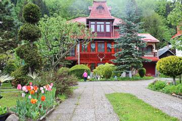 Фото Виллы Vila Alexandra г. Синая 1