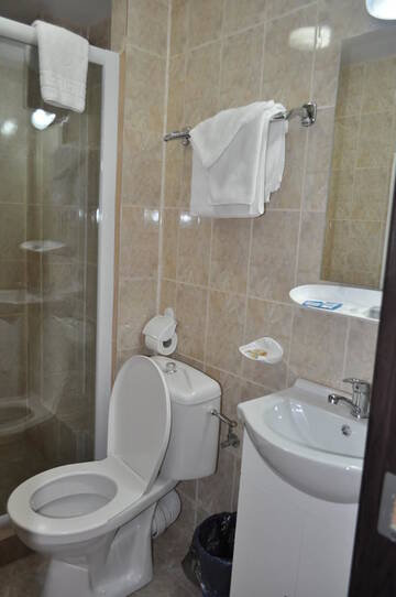 Фото номера Двухместный номер с 1 кроватью Отель Hotel Green Palace г. Синая 10