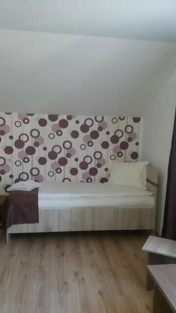 Фото номера Трехместный номер Гостевой дом Pensiunea Argesu ** г. Синая 20