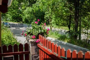 Фото номера Номер-студио Гостевой дом Casa de Vacanta Razvan si Andrei г. Синая 40