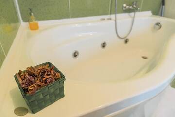 Фото номера Двухместный номер Делюкс с 1 кроватью и ванной Гостевой дом Casa Traian г. Синая 11