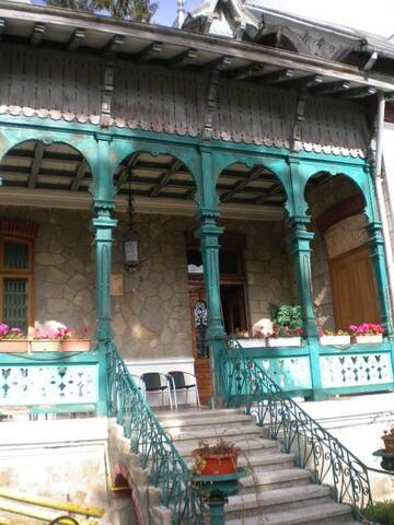 Фото номера Улучшенная вилла Виллы Olala Vila Sinaia г. Синая 47