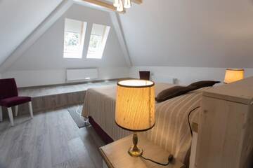 Фото номера Полулюкс с балконом Гостевой дом Pensiunea Carmen`s Mansion B г. Синая 3