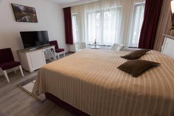 Фото номера Двухместный номер Делюкс с 1 кроватью Гостевой дом Pensiunea Carmen`s Mansion B г. Синая 6