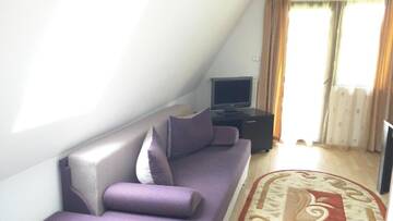 Фото Апарт-отели Hotel Silvia Apart Sinaia г. Синая 4