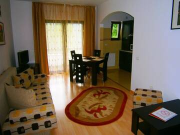 Фото номера Апартаменты с 1 спальней Апарт-отели Hotel Silvia Apart Sinaia г. Синая 15