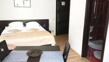 Фото номера Номер-студио Апарт-отели Hotel Silvia Apart Sinaia г. Синая 13