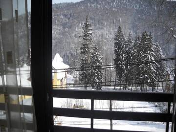 Фото номера Номер-студио Апарт-отели Hotel Silvia Apart Sinaia г. Синая 15