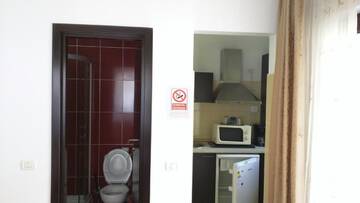Фото номера Номер-студио Апарт-отели Hotel Silvia Apart Sinaia г. Синая 2