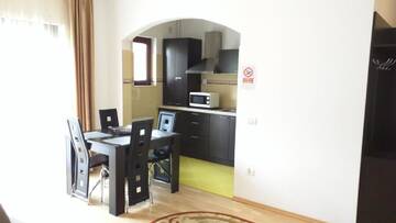Фото номера Апартаменты с 1 спальней Апарт-отели Hotel Silvia Apart Sinaia г. Синая 4