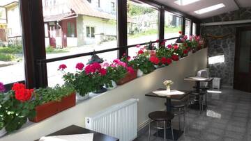 Фото Апарт-отели Hotel Silvia Apart Sinaia г. Синая 2