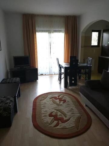 Фото номера Апартаменты с 1 спальней Апарт-отели Hotel Silvia Apart Sinaia г. Синая 7