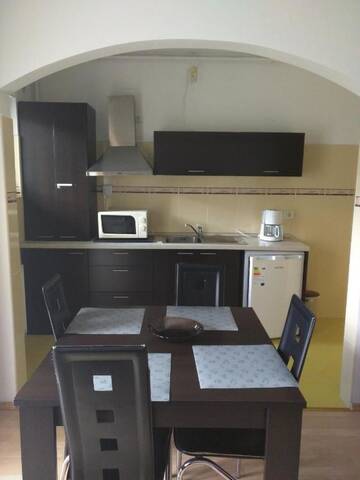Фото номера Апартаменты с 1 спальней Апарт-отели Hotel Silvia Apart Sinaia г. Синая 6