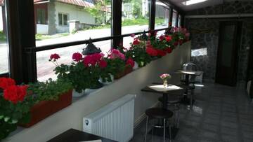 Фото Апарт-отели Hotel Silvia Apart Sinaia г. Синая 3