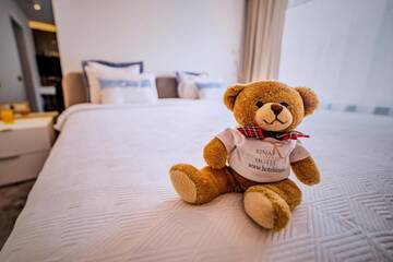 Фото номера Трехместный номер с видом на горы Отель Hotel Sinaia г. Синая 10