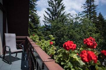 Фото номера Двухместный номер с 1 кроватью или 2 отдельными кроватями Отель Hotel Marami г. Синая 82