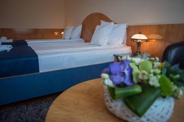 Фото номера Двухместный номер с 1 кроватью или 2 отдельными кроватями Отель Hotel Marami г. Синая 61