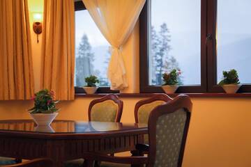 Фото Отель Hotel Foisorul cu Flori г. Синая 2