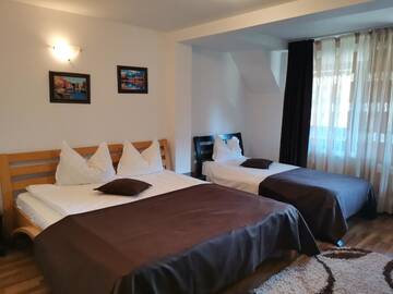 Фото номера Трехместный номер с террасой Гостевой дом VILA SINAI г. Синая 8