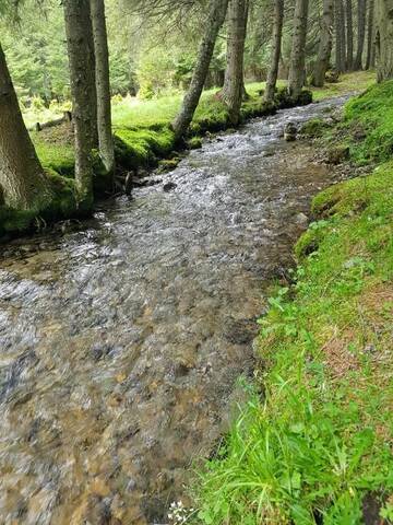 Фото номера Дом для отпуска Дома для отпуска Sinaia Veche г. Синая 88