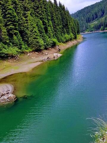 Фото номера Дом для отпуска Дома для отпуска Sinaia Veche г. Синая 87