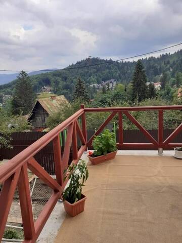 Фото номера Семейный люкс Гостевой дом Casa Insorita г. Синая 20